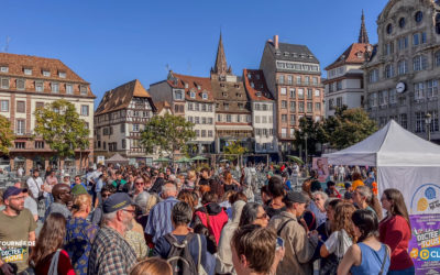 Finale de la Tournée de la Dictée pour Tous à Strasbourg – Place Kléber !